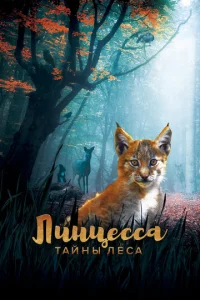  Линцесса. Тайны леса  1 сезон