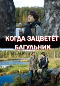 Постер к сериалу  Когда зацветёт багульник  1-2 сезон