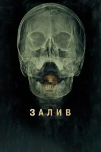  Залив  1 сезон