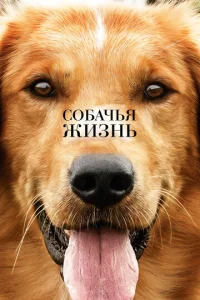  Собачья жизнь  1 сезон