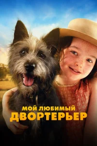  Мой любимый двортерьер  1 сезон