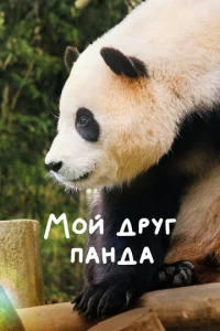  Мой друг панда  1 сезон