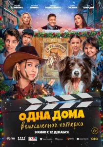  Одна дома: Великолепная пятерка  1 сезон