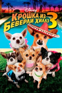 Крошка из Беверли-Хиллз 3  1 сезон