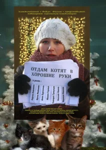  Отдам котят в хорошие руки  1 сезон