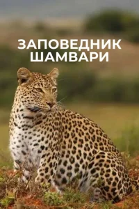 Постер к сериалу  Заповедник Шамвари  1-2 сезон