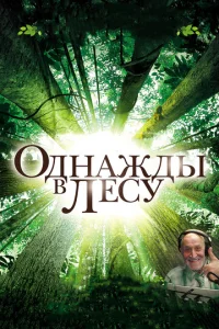  Однажды в лесу  1 сезон