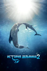  История дельфина 2  1 сезон