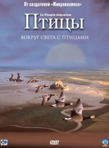 Постер к сериалу  Птицы  1-2 сезон
