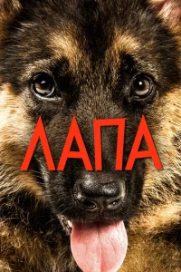  Лапа  1 сезон