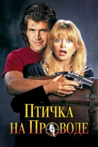  Птичка на проводе  1 сезон