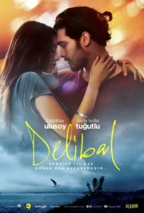 Постер к сериалу  Дикий мёд  1-2 сезон