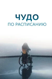  Чудо по расписанию  1 сезон