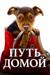 Постер к сериалу Путь домой 1-2 сезон