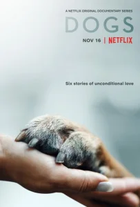 Постер к сериалу  Собаки  1-2 сезон