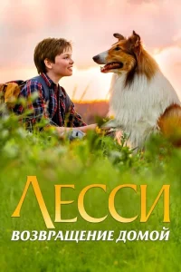 Постер к сериалу  Лесси. Возвращение домой  1-2 сезон