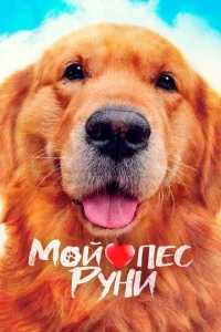 Постер к сериалу  Мой пёс Руни  1-2 сезон