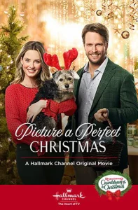 Постер к сериалу  Образ идеального Рождества  1-2 сезон