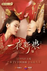 Постер к сериалу  Невеста на одну ночь  1-2 сезон