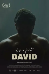 Постер к сериалу  Идеальный Давид  1-2 сезон
