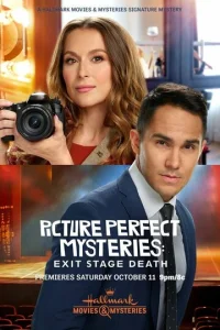 Постер к сериалу  Идеальные преступления: Смерть за кулисами  1-2 сезон