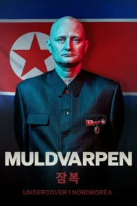 Постер к сериалу  Крот: Под прикрытием в Северной Корее  1-2 сезон