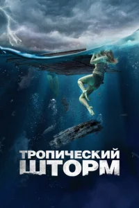 Постер к сериалу Тропический шторм 1-2 сезон
