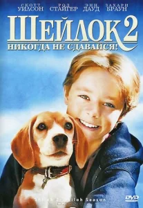 Постер к сериалу  Шейлок 2  1-2 сезон