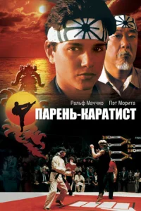 Постер к сериалу  Парень-каратист  1-2 сезон