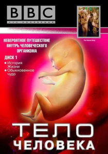  BBC: Тело человека  1 сезон