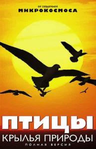 Постер к сериалу  Птицы: Крылья природы  1-2 сезон
