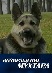 Постер к сериалу Возвращение Мухтара 1-2 сезон