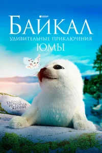 Постер к сериалу  Байкал. Удивительные приключения Юмы  1-2 сезон