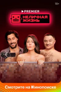 Постер к сериалу  Неличная жизнь  1-2 сезон