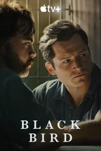 Постер к сериалу  Чёрная птица  1-2 сезон