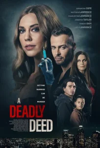 Постер к сериалу  Тайный брат моего мужа  1-2 сезон
