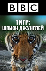 Постер к сериалу BBC: Тигр — Шпион джунглей 1-2 сезон