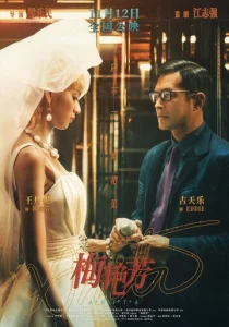 Постер к сериалу Анита 1-2 сезон