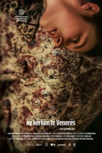 Постер к сериалу  В поисках Венеры  1-2 сезон