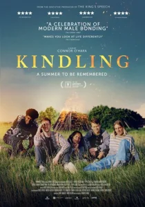 Постер к сериалу  Разжигание  1-2 сезон