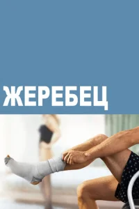  Жеребец  1 сезон