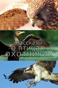  Рассказы о птицах-охотниках  1 сезон
