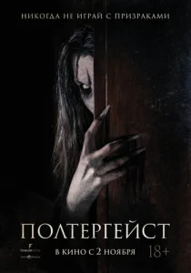 Постер к сериалу  Полтергейст  1-2 сезон