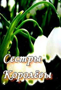  Сестры Королевы  1 сезон