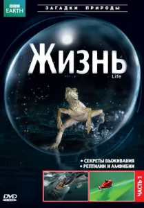  BBC: Жизнь  1 сезон