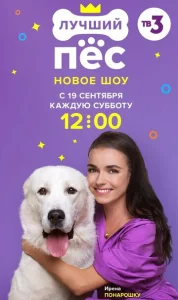  Лучший пёс  1 сезон