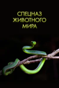 Спецназ животного мира  1 сезон