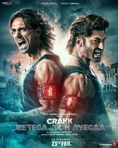 Постер к сериалу  Чокнутый  1-2 сезон