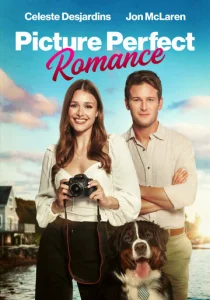 Постер к сериалу  Идеальный роман  1-2 сезон