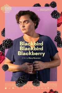 Постер к сериалу  Дрозд, дрозд, ежевика  1-2 сезон